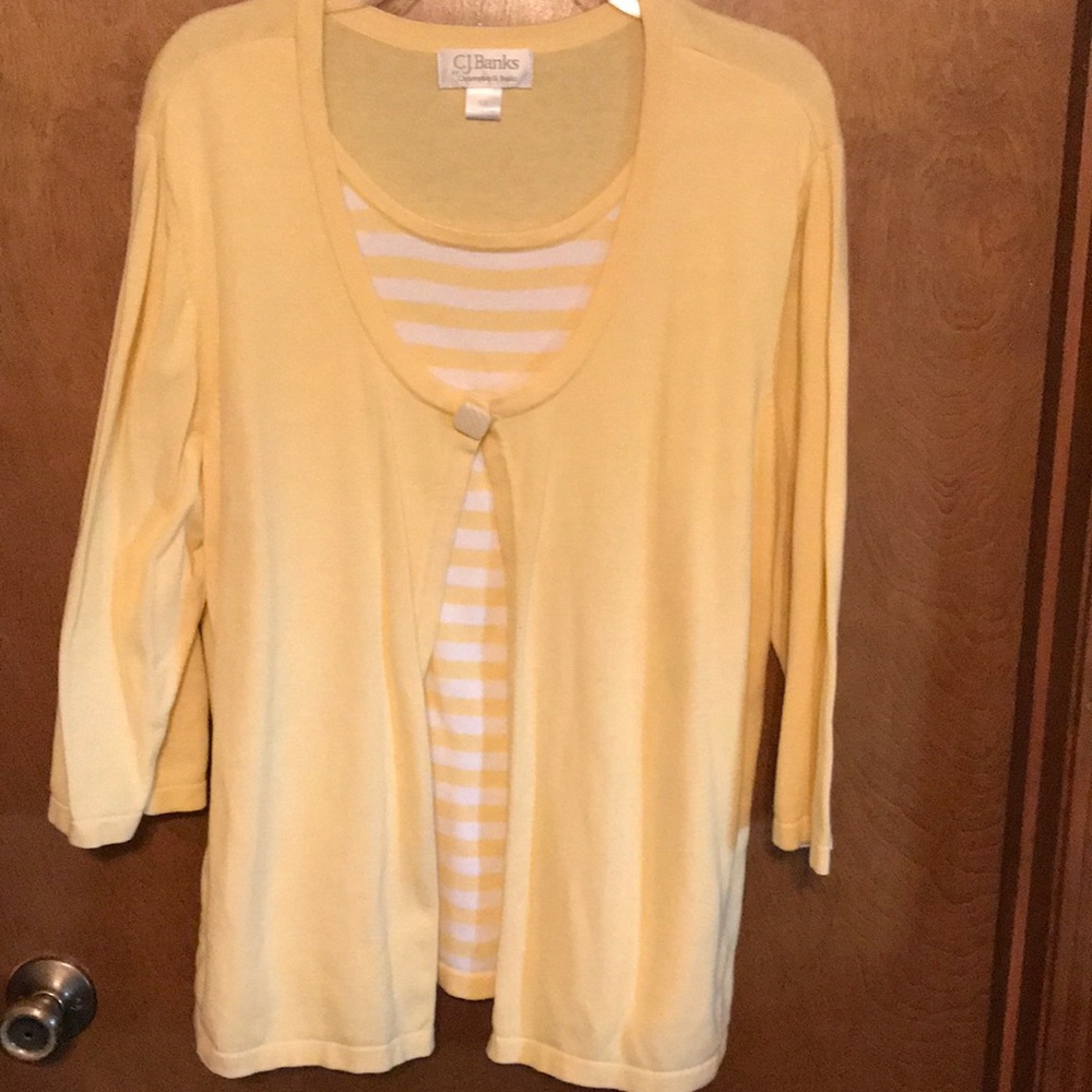 CJ Banks Sweater